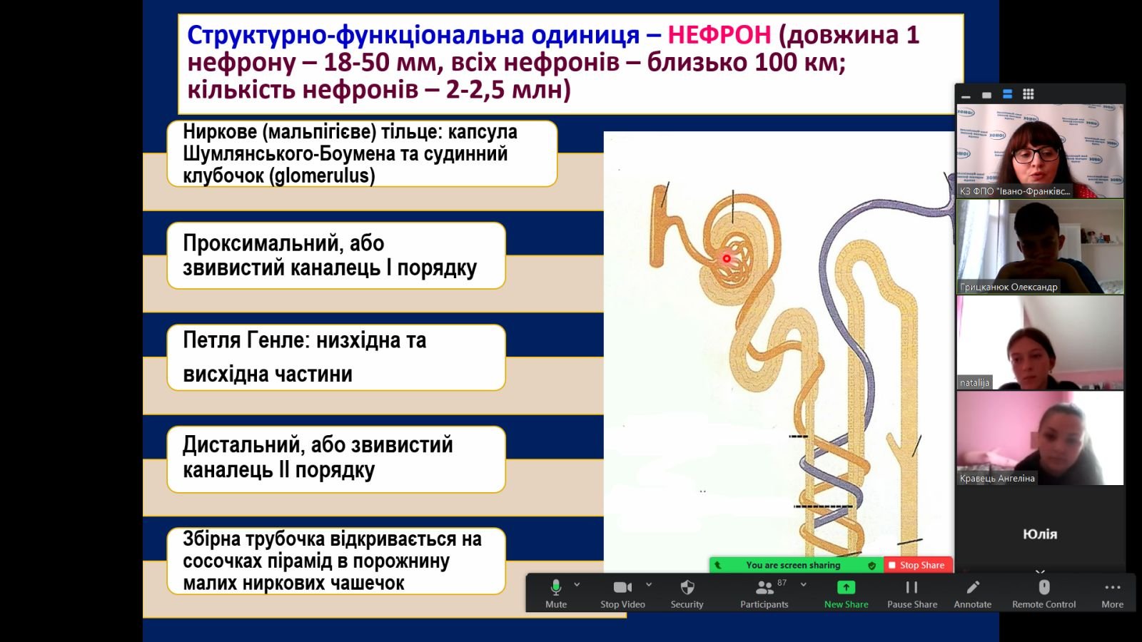 Завершилися онлайн-консультації для вступників