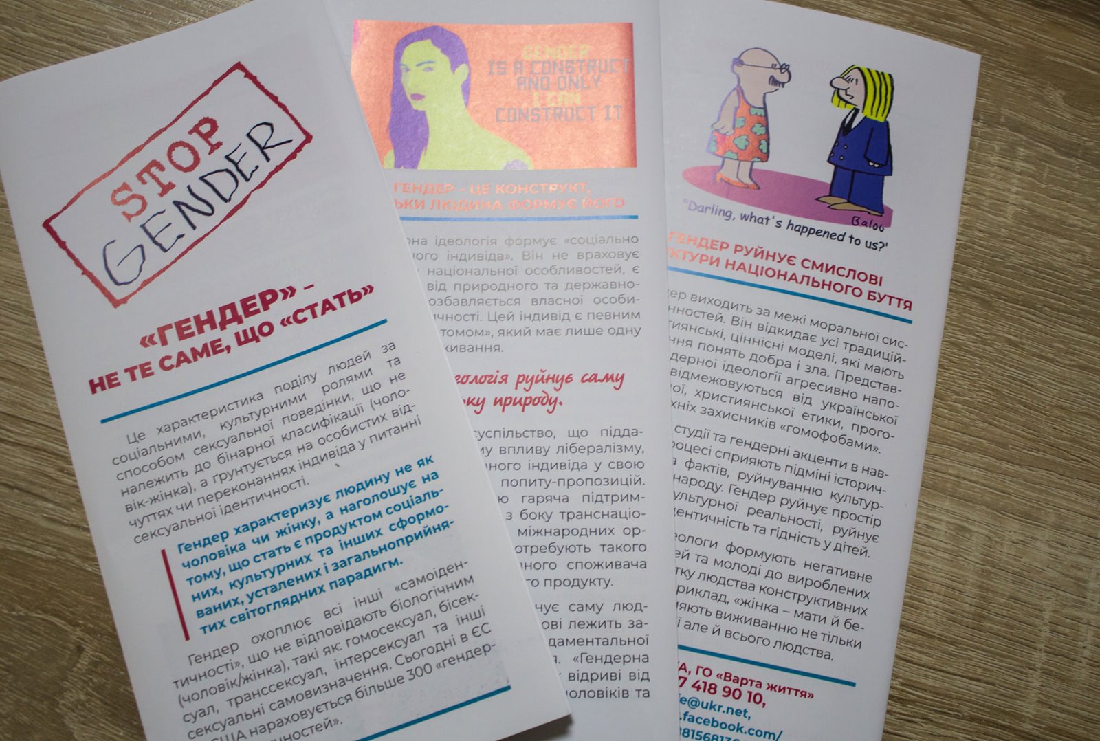 Імплементація Стамбульської конвенції: виклики та суперечності