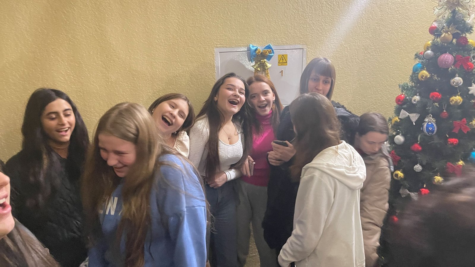 На Миколая в гуртожитку засяяла вогнями ялинка